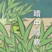 DƬ
